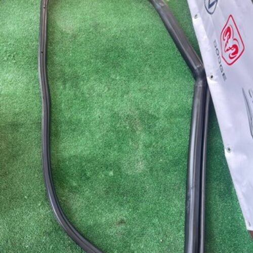 ущільнювач дверей лівий задній тесла 3