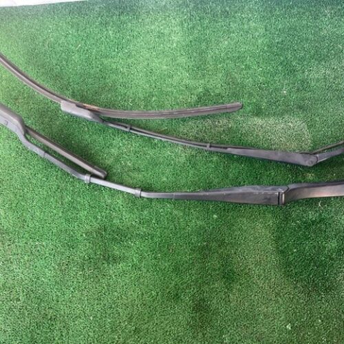 Двірник правийлівий