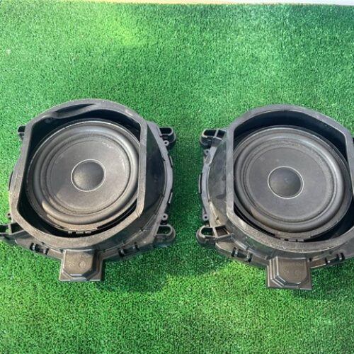 Динамік передніх дверей